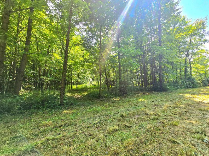 9026-1 Gregg Road , Fredericktown, OH 43019 Photo 12