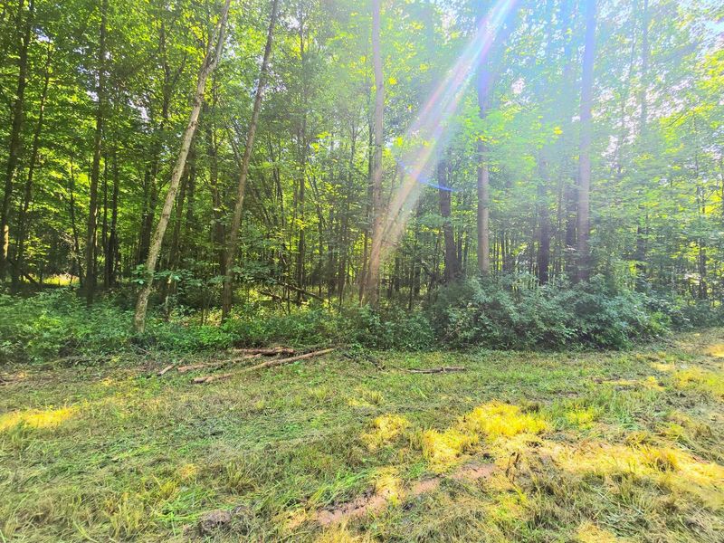 9026-1 Gregg Road , Fredericktown, OH 43019 Photo 13