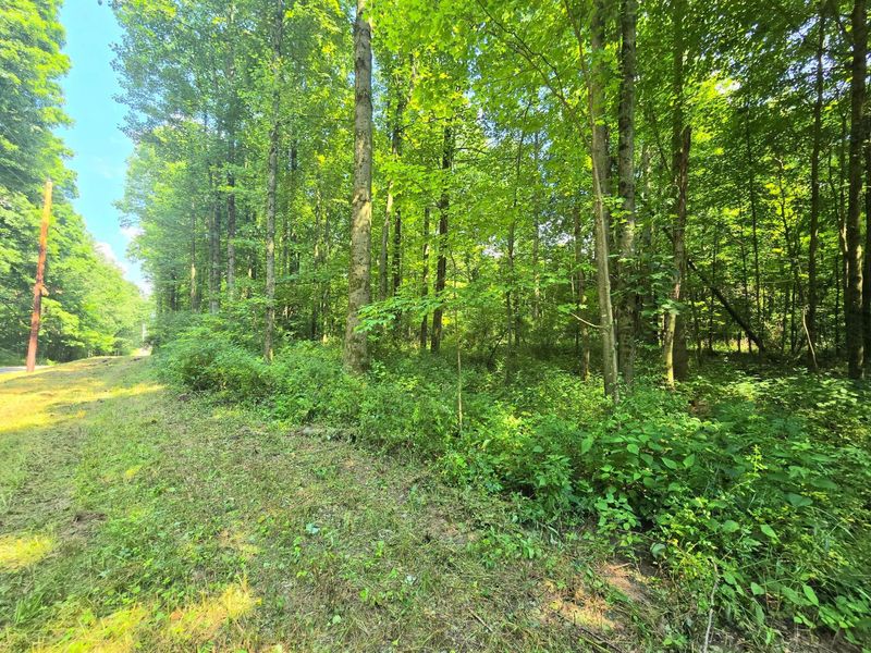9026-1 Gregg Road , Fredericktown, OH 43019 Photo 16