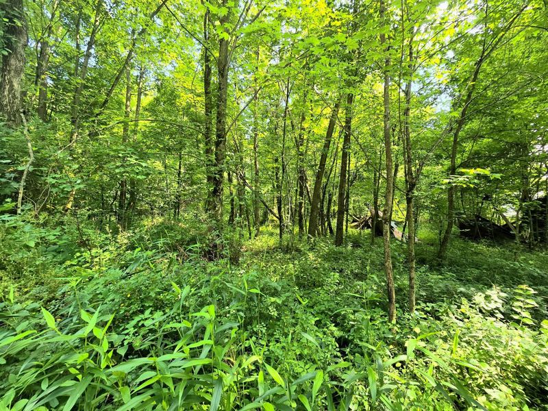 9026-1 Gregg Road , Fredericktown, OH 43019 Photo 5
