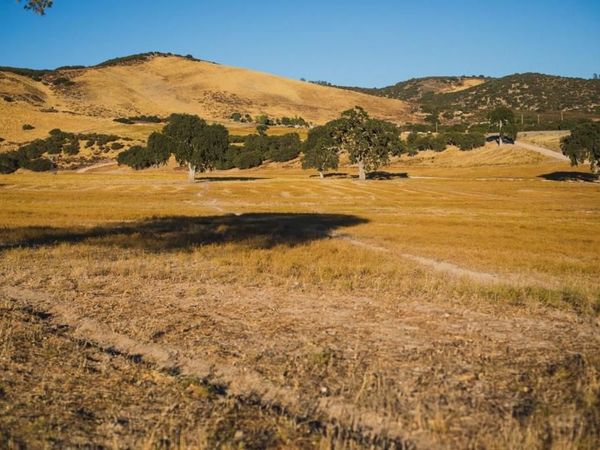 68353 Jolon Road, Bradley, CA 93426