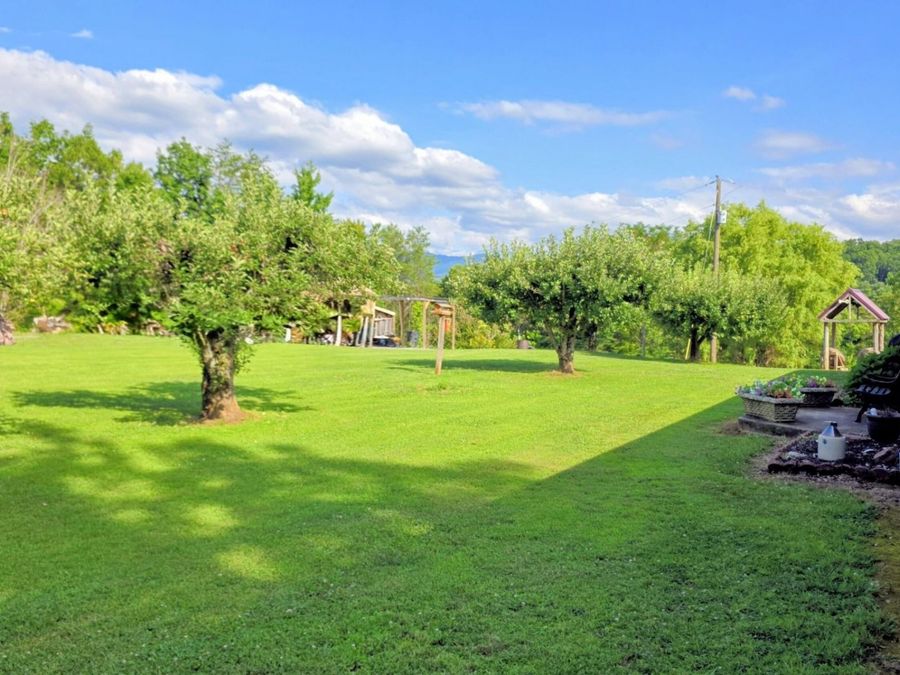 Property Image 80