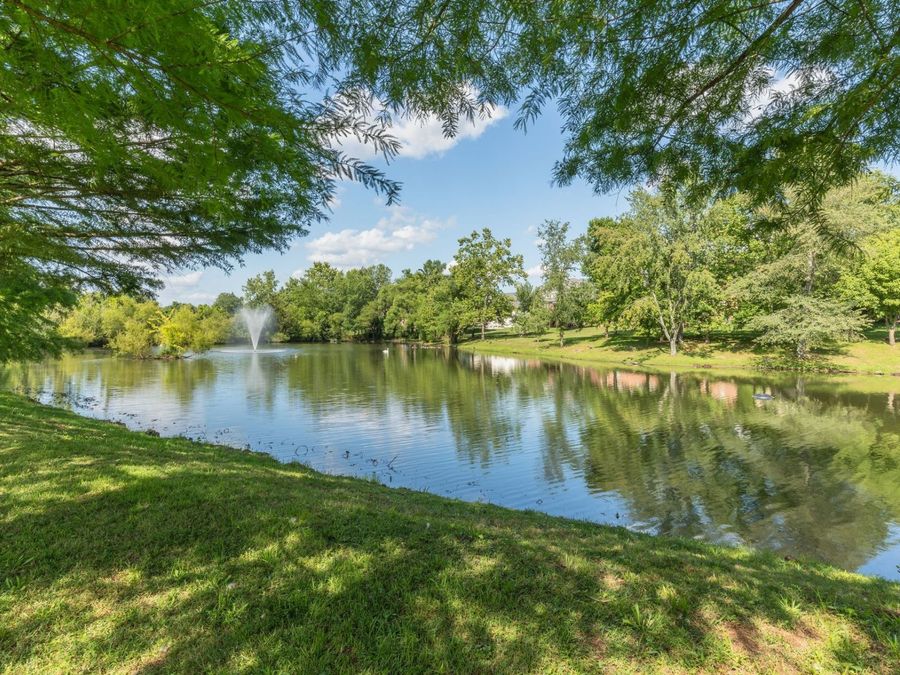 Property Image 56