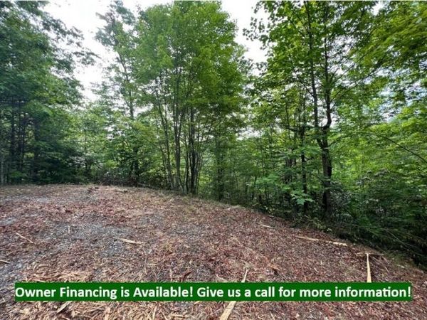180 Jones Creek Lane , Unit 180E, Sevierville, TN 37876