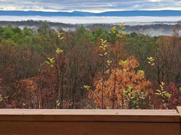 685 N MAPLE, MOUNT JACKSON, VA 22842