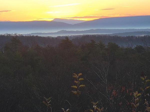 685 N MAPLE, MOUNT JACKSON, VA 22842
