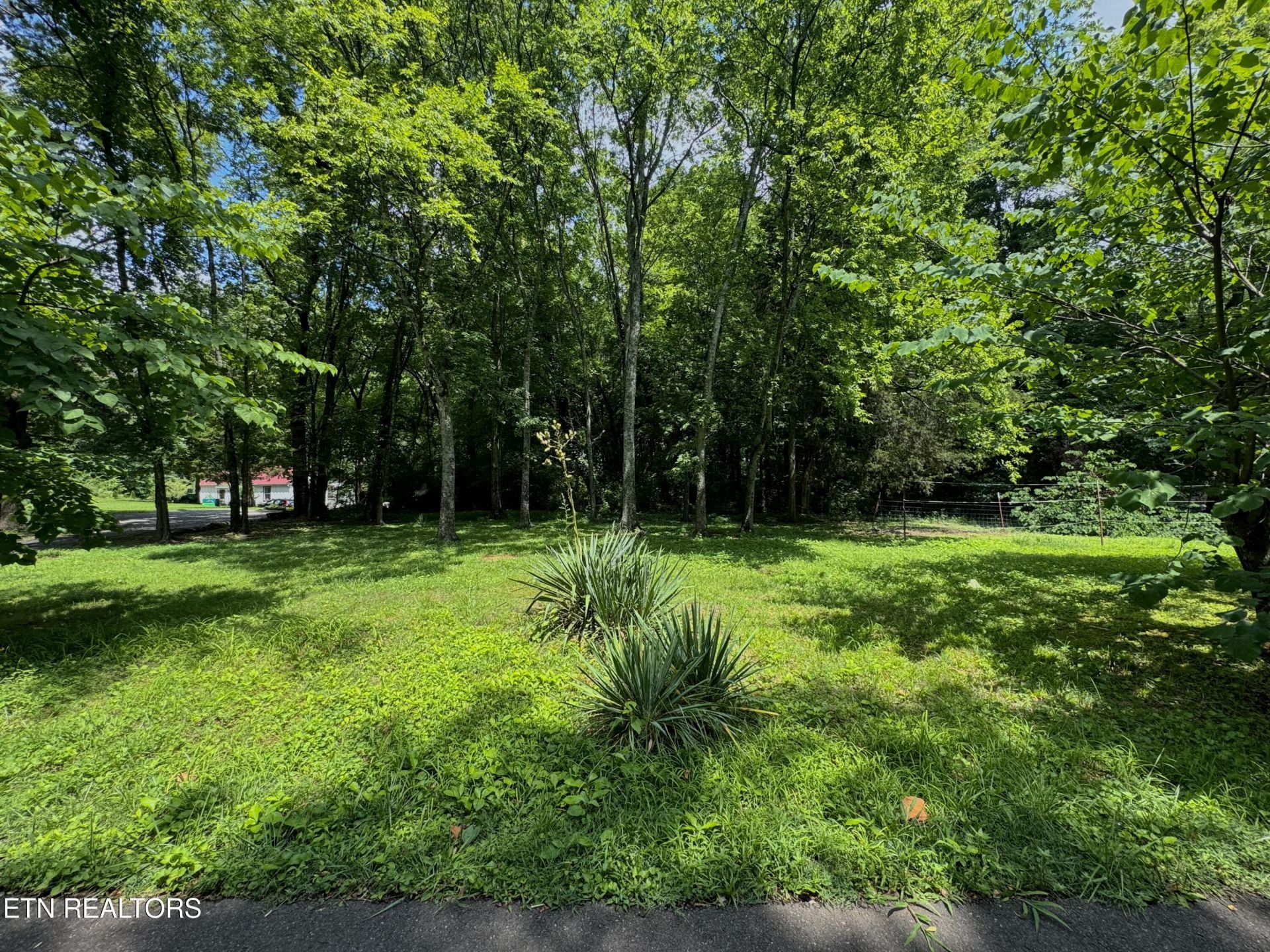 3217 Curtis Lane, Knoxville, TN 37918 Main Photo