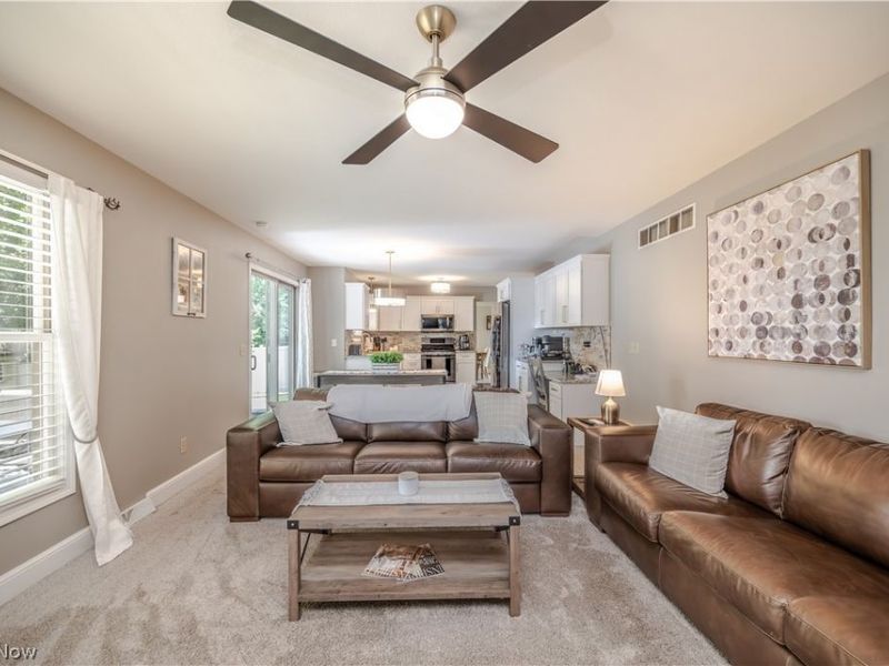 55 Willow Bend Drive, Canfield, OH 44406 Photo 12