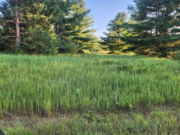 11535 Pierce Road, Unit 786, Canadian Lakes, MI 49346