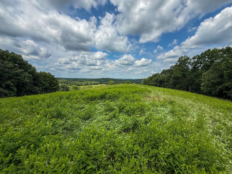9102 Kentontown Road, Mount Olivet, KY 41064 Photo 2