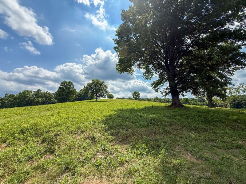 9102 Kentontown Road, Mount Olivet, KY 41064 Photo 29