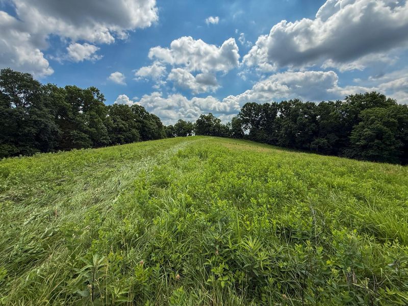 9102 Kentontown Road, Mount Olivet, KY 41064 Photo 30