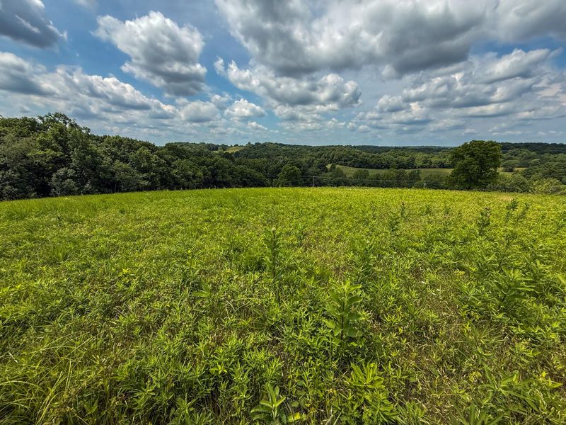9102 Kentontown Road, Mount Olivet, KY 41064 Photo 31
