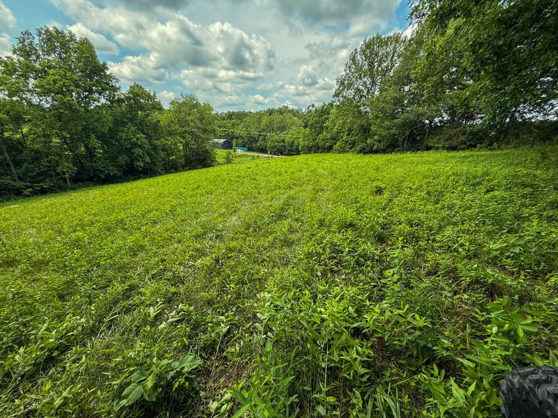 9102 Kentontown Road, Mount Olivet, KY 41064 Photo 32