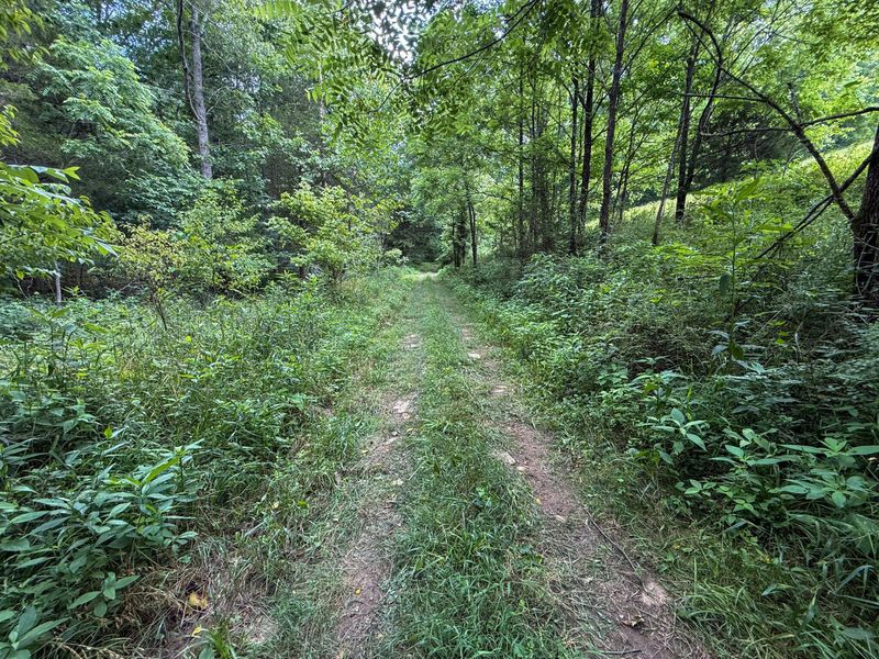 9102 Kentontown Road, Mount Olivet, KY 41064 Photo 33