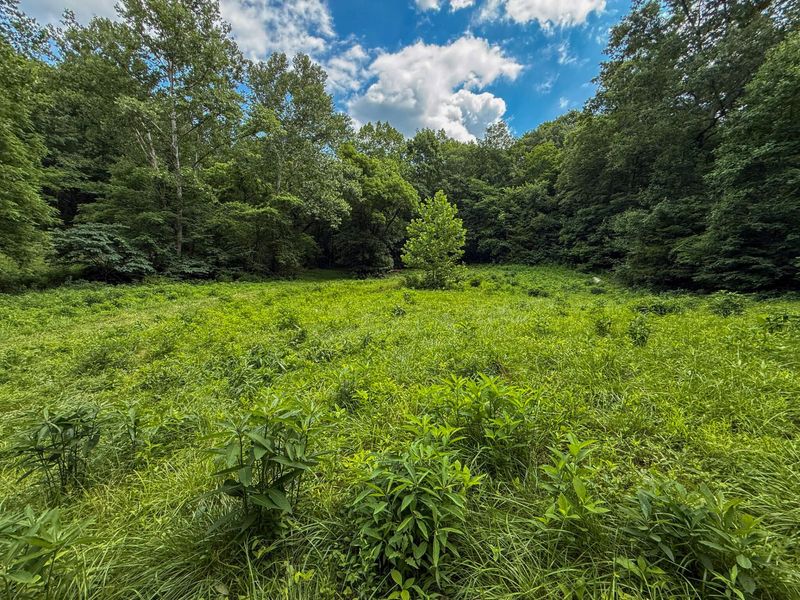 9102 Kentontown Road, Mount Olivet, KY 41064 Photo 34