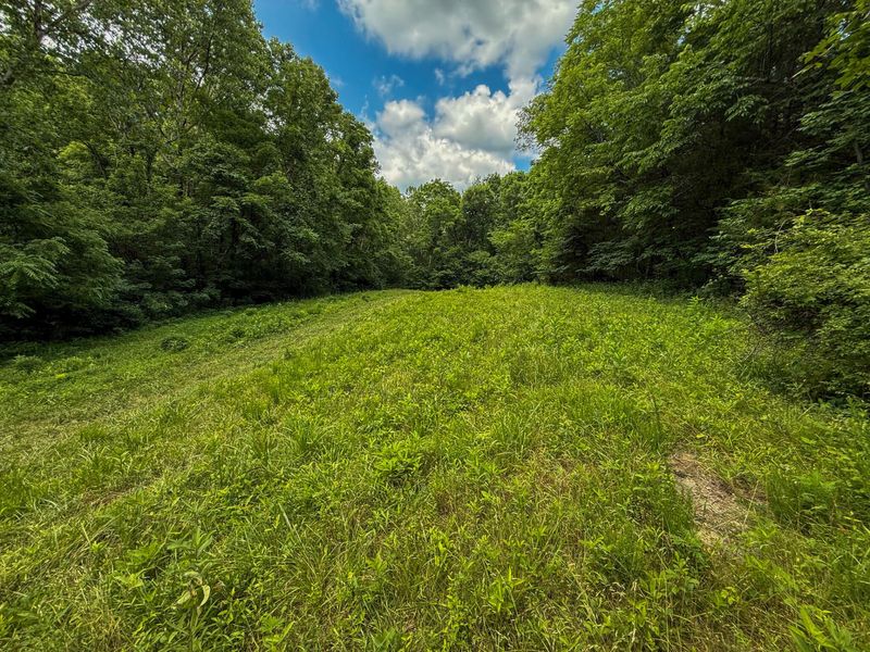 9102 Kentontown Road, Mount Olivet, KY 41064 Photo 35