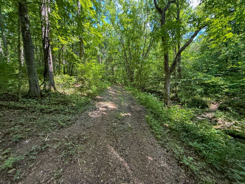 9102 Kentontown Road, Mount Olivet, KY 41064 Photo 38