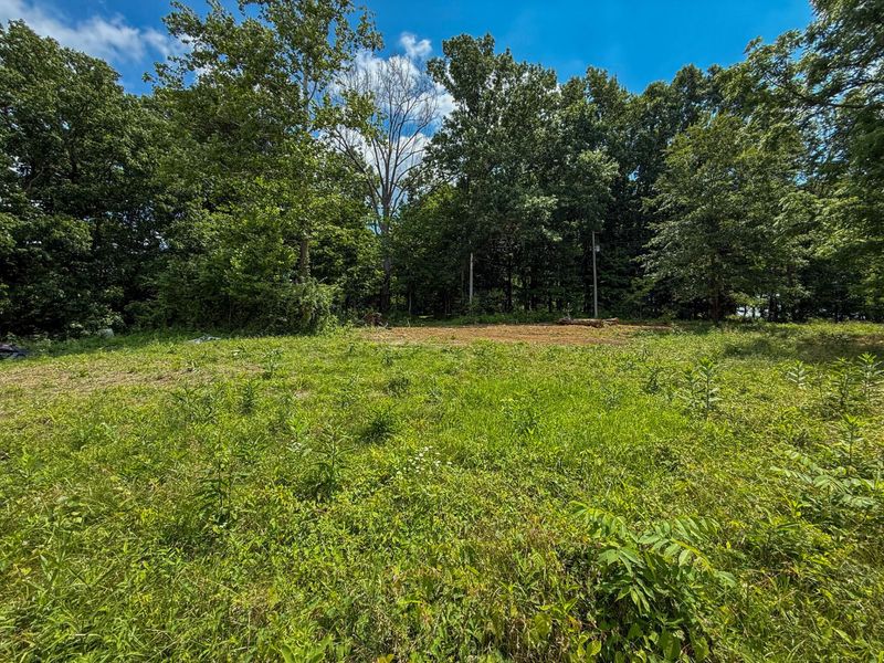 9102 Kentontown Road, Mount Olivet, KY 41064 Photo 40