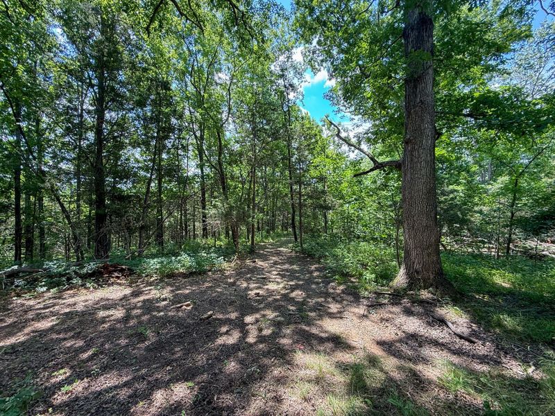 9102 Kentontown Road, Mount Olivet, KY 41064 Photo 6