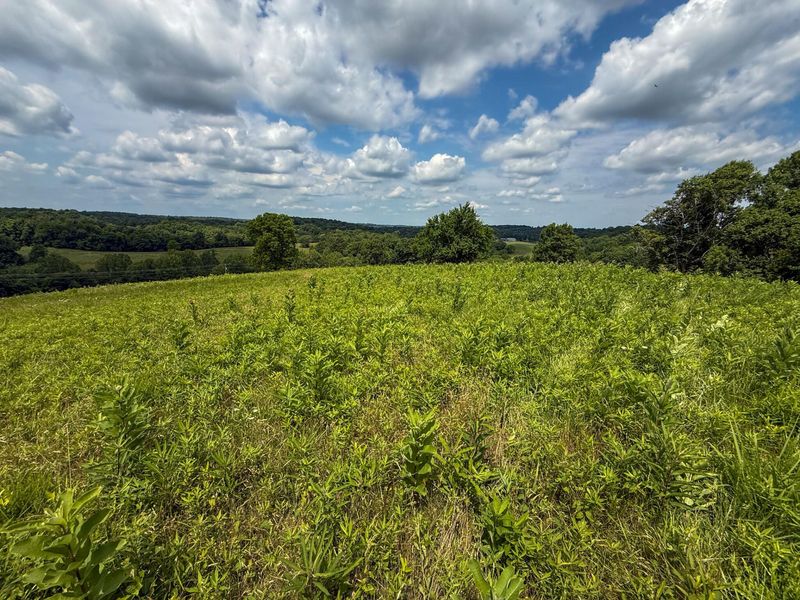 9102 Kentontown Road, Mount Olivet, KY 41064 Photo 7