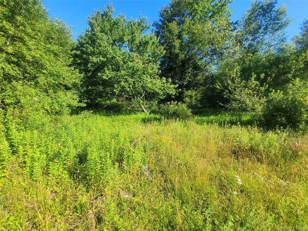 55 State Street , Liberty, NY 12754