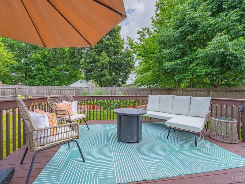 3810 N Broadlawn Circle, Silverton, OH 45236 Photo 58