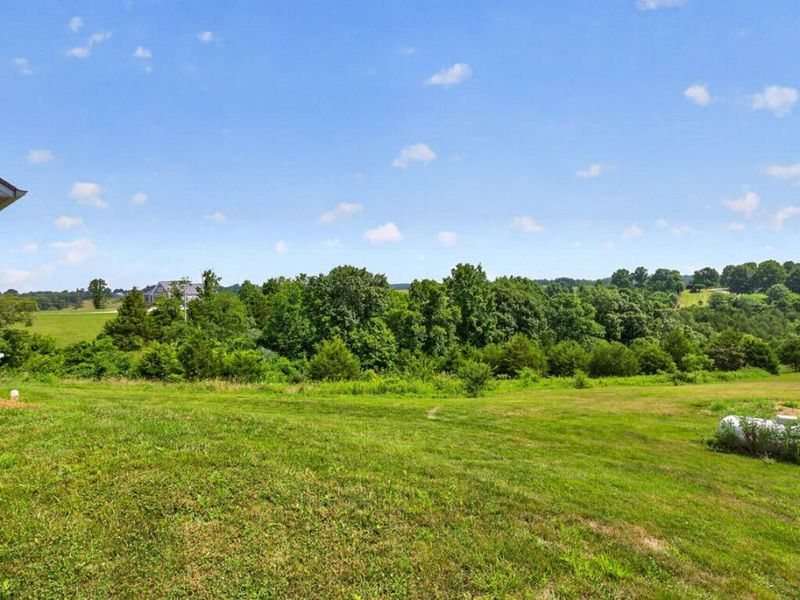 13934 Peach Grove Road, California, KY 41007 Photo 20