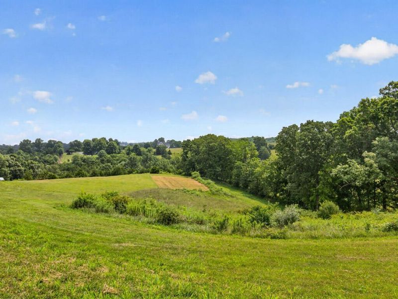 13934 Peach Grove Road, California, KY 41007 Photo 23