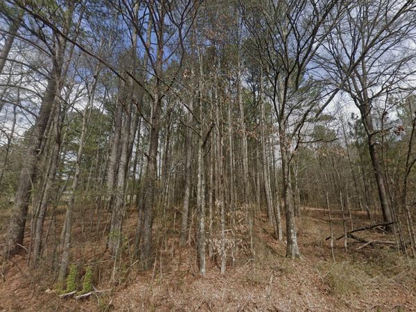 TBD Prior Station Road, Cedartown, GA 30125