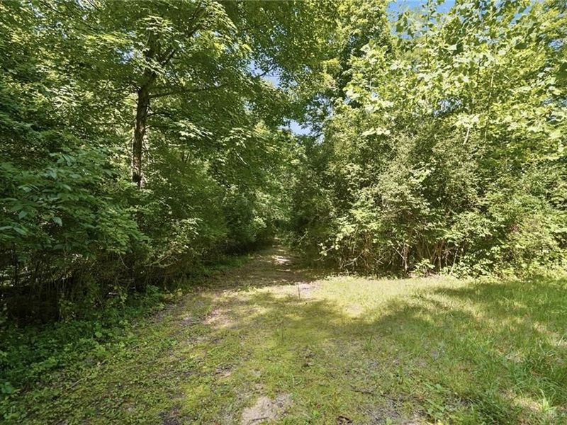 4910 State Route 201, Tipp City, OH 45371 Photo 91
