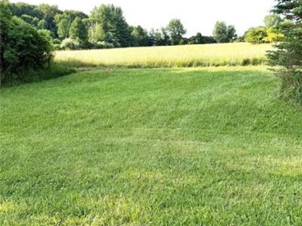 0070102220 Meadow Lane, Dryden Twp, MI 48428