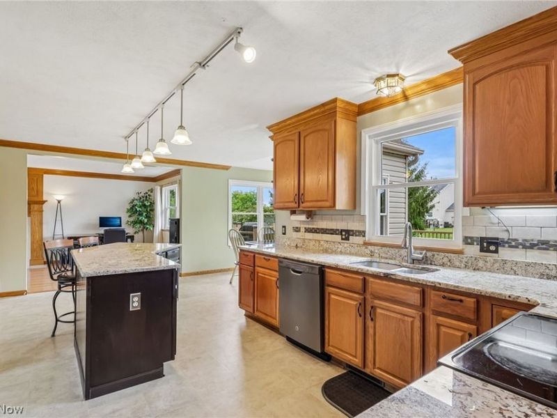 1559 Congressional Avenue, Brunswick, OH 44212 Photo 5