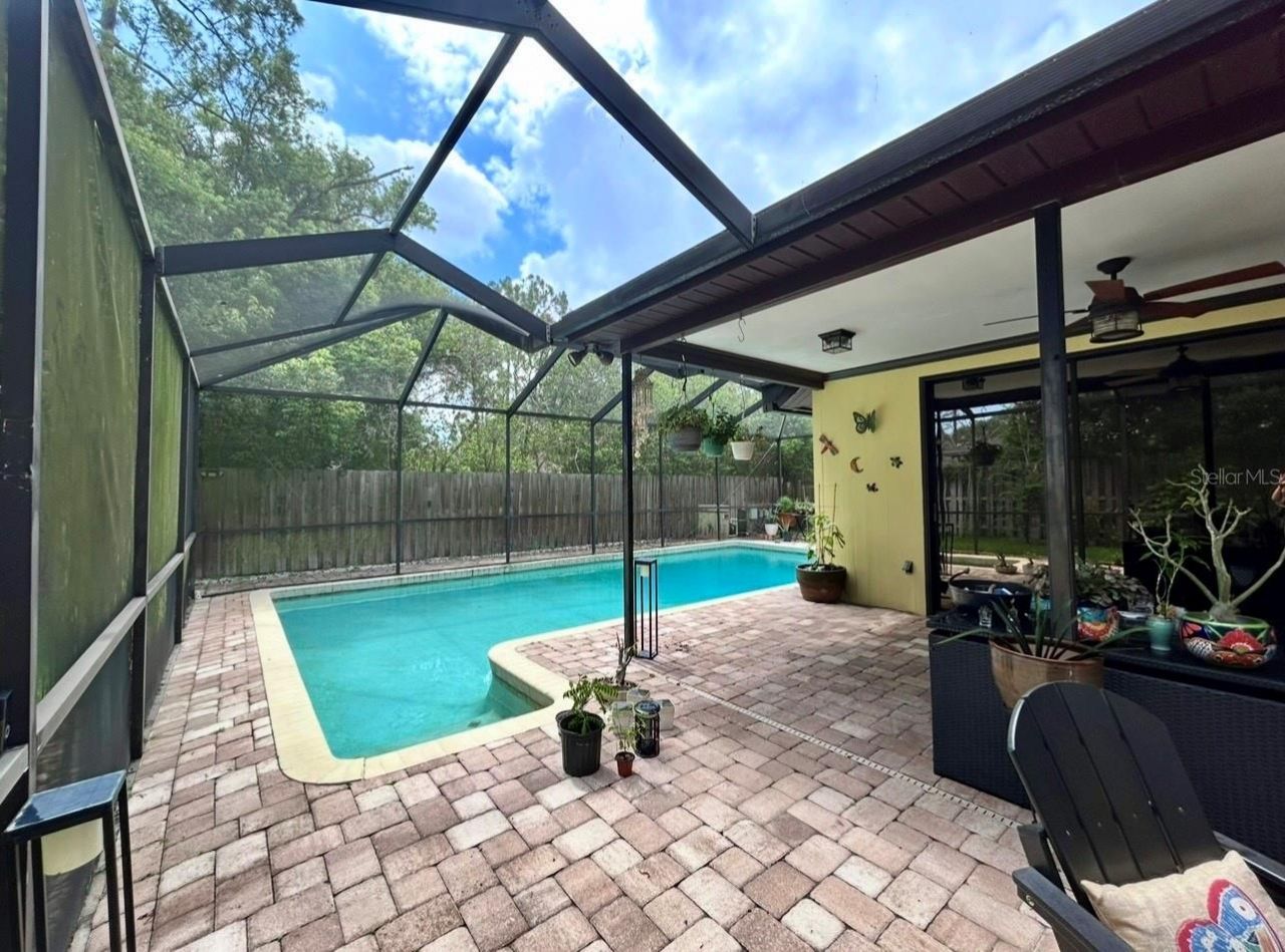 820 Druid Hills Road, Tampa, FL 33617 Photo