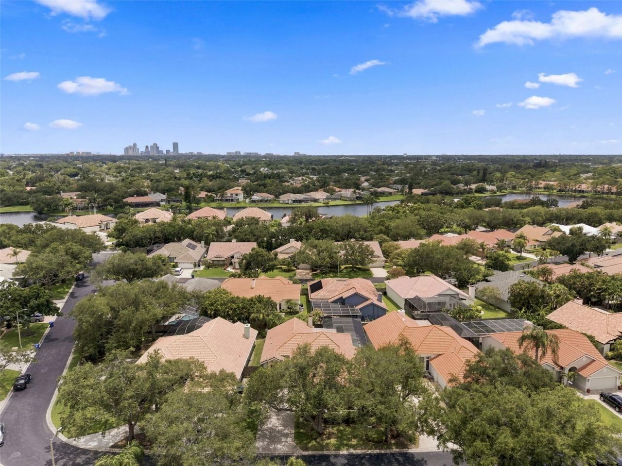 980 Live Oak Avenue Ne, Saint Petersburg, FL 33703 Photo