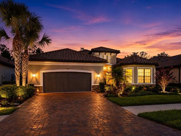 20117 UMBRIA HILL DRIVE , TAMPA, FL 33647