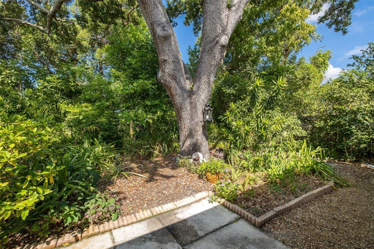 8120 Canterbury Circle, Seminole, FL 33777 Photo