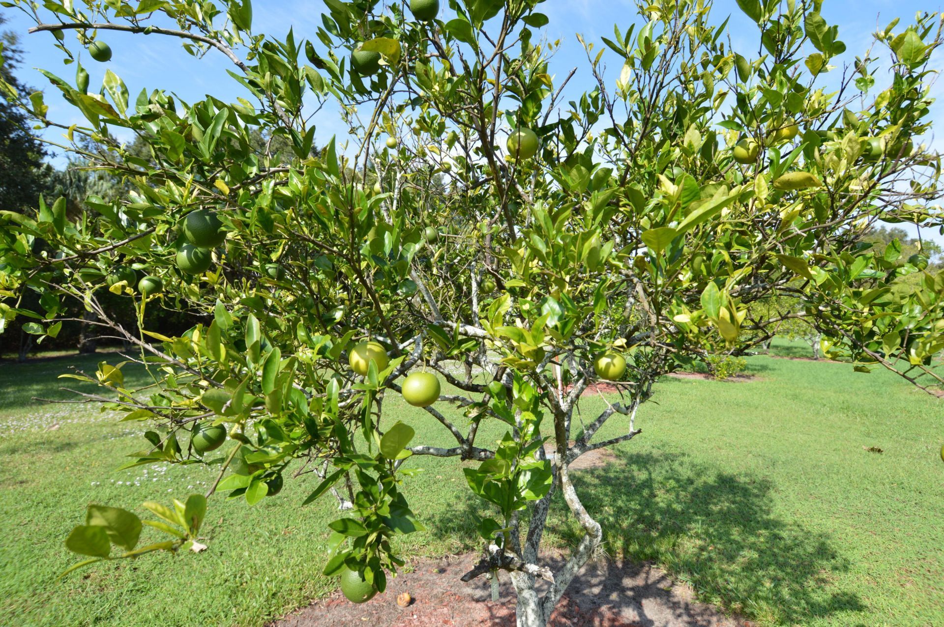 3100 SE Pruitt Road, Unit H205, Port Saint Lucie, FL 34952 Photo