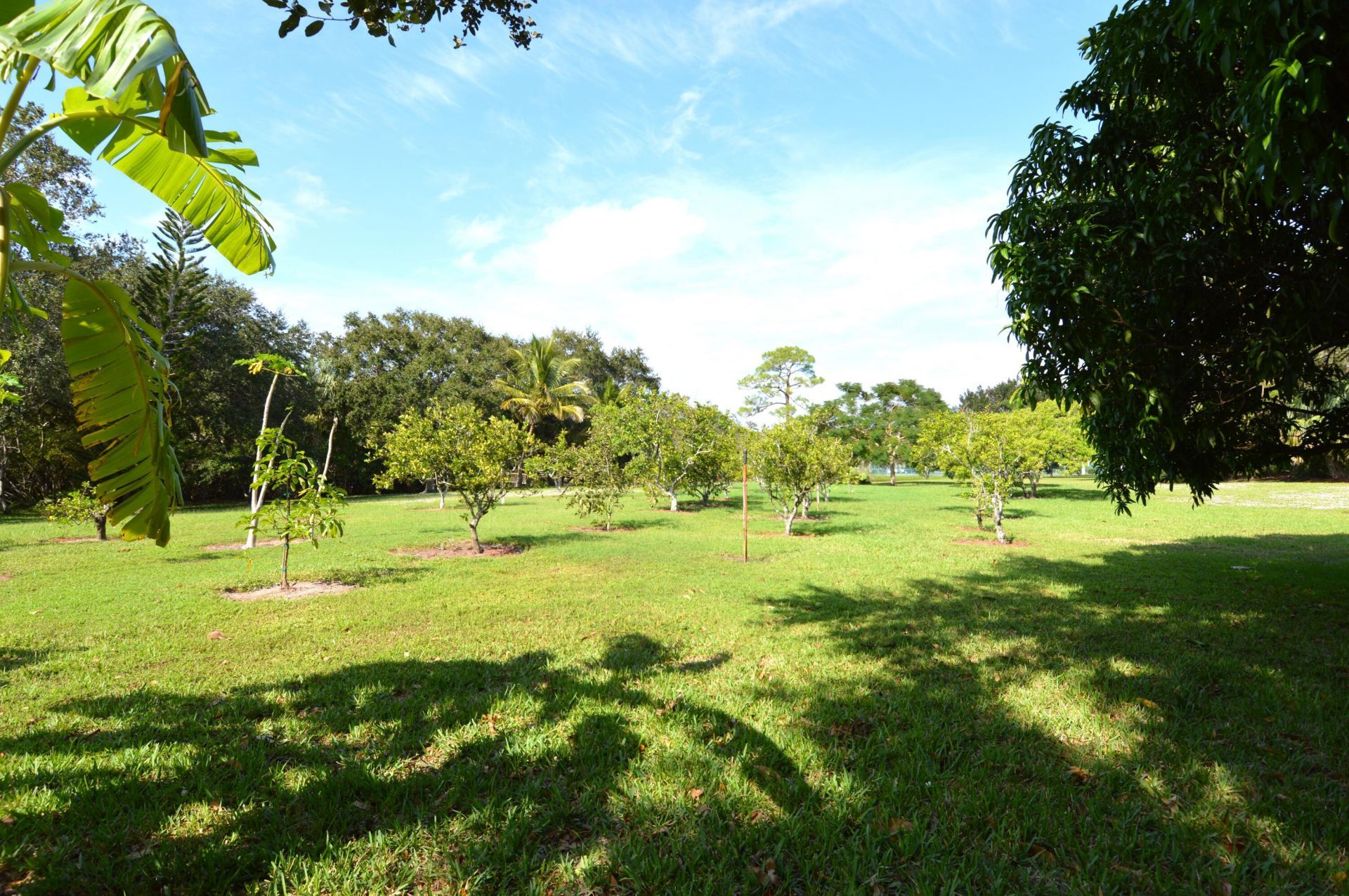 3100 SE Pruitt Road, Unit H205, Port Saint Lucie, FL 34952 Photo
