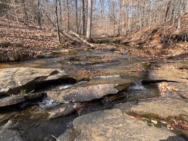 00 Jim McKinney Road , Pinnacle, NC 27043