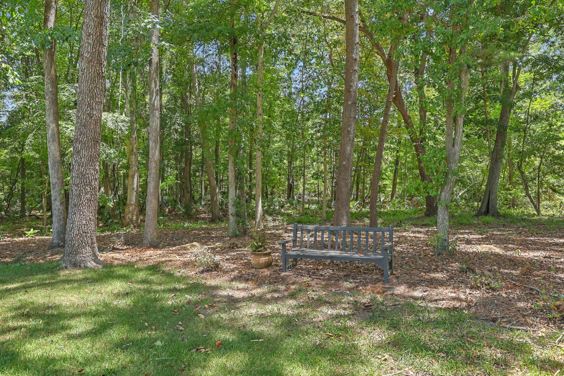 8655 Mcchune Court Photo 56