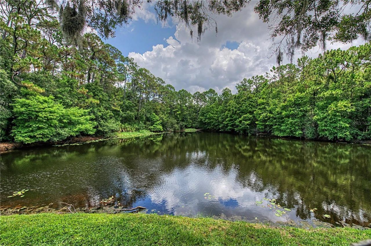 2016 Crane Court , New Port Richey, FL 34655 Photo