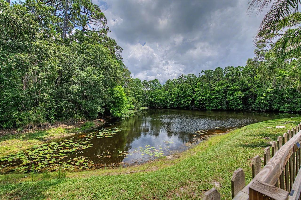 2016 Crane Court , New Port Richey, FL 34655 Photo