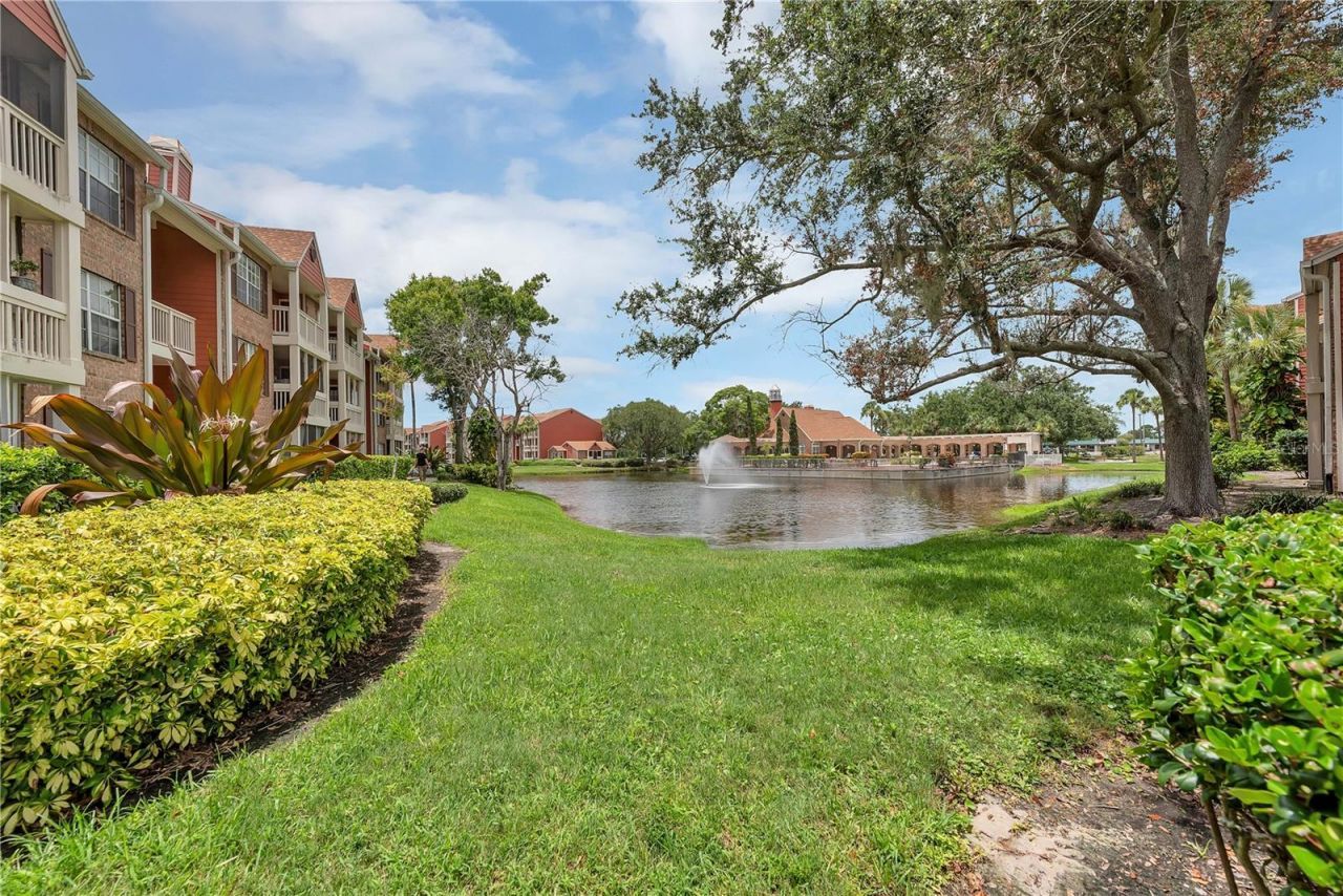 10200 Gandy Boulevard N, Unit 1205, Saint Petersburg, FL 33702 Photo