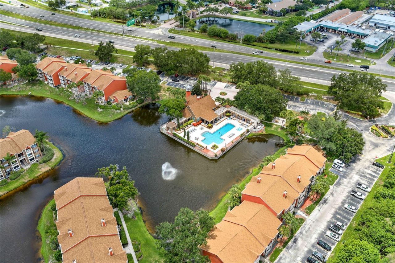 10200 Gandy Boulevard N, Unit 1205, Saint Petersburg, FL 33702 Photo