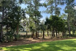 804 Kings Oak Court photo 4