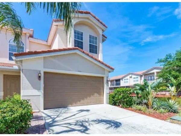 10432 LA MIRAGE COURT , TAMPA, FL 33615