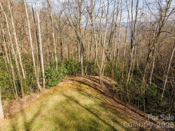1279 Arborcrest Way, Swannanoa, NC 28778