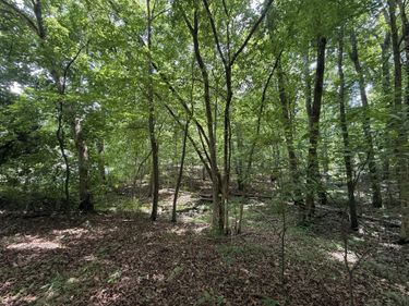 000 Waterway Trail, Unit Lot #70B -, New Concord, KY 42076