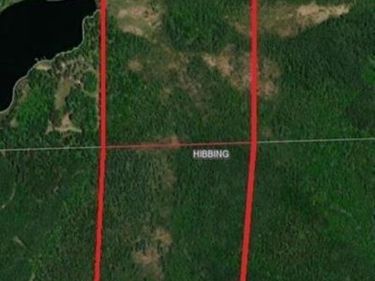 TBD S Town Line Rd , Hibbing, MN 55746